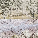 北京旅游 缩略图 3