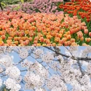 北京旅游 缩略图 7