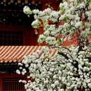 北京旅游 缩略图 5