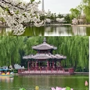 北京旅游 缩略图 8