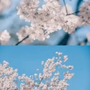 北京旅游 缩略图 4