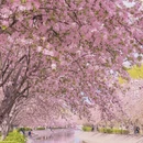 北京旅游 缩略图 4