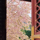 北京旅游 缩略图 8
