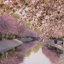 北京旅游 缩略图 2