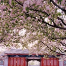 北京旅游 缩略图 6