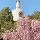 北京旅游 缩略图 7