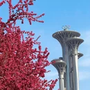 北京旅游 缩略图 10