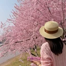 北京旅游 缩略图 13
