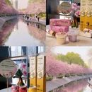 北京旅游 缩略图 17