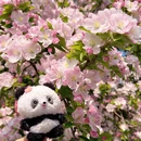 北京旅游 缩略图 2