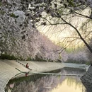 北京旅游 缩略图 1