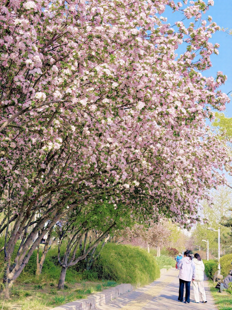 北京旅游