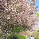 北京旅游 缩略图 1