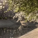 北京旅游 缩略图 2