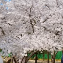北京旅游 缩略图 6