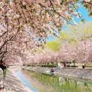 北京旅游 缩略图 12