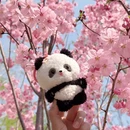 北京旅游 缩略图 14