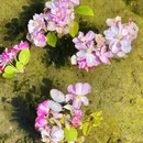 北京旅游 缩略图 15