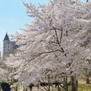 北京旅游 缩略图 7