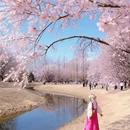 北京旅游 缩略图 1