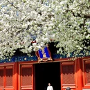 北京旅游 缩略图 3