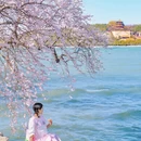 北京旅游 缩略图 6