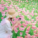 北京旅游 缩略图 5