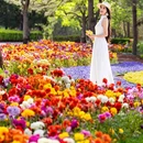 北京旅游 缩略图 15