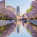 北京旅游 缩略图 1