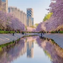 北京旅游 缩略图 4