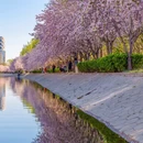 北京旅游 缩略图 3