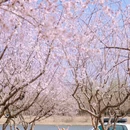 北京旅游 缩略图 9