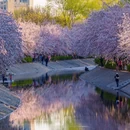 北京旅游 缩略图 7
