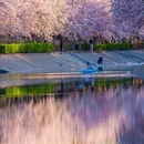 北京旅游 缩略图 6