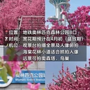 北京旅游 缩略图 2