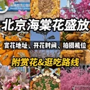 北京旅游 缩略图 1