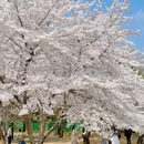 北京旅游 缩略图 5