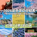 北京旅游 缩略图 1