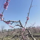 北京旅游 缩略图 10