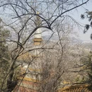 北京旅游 缩略图 2