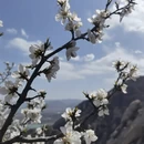 北京旅游 缩略图 7