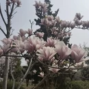 北京旅游 缩略图 8