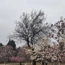 北京旅游 缩略图 9