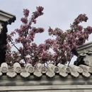 北京旅游 缩略图 13