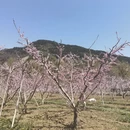 北京旅游 缩略图 12