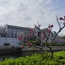 北京旅游 缩略图 15
