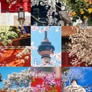 北京旅游 缩略图 1