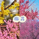 北京旅游 缩略图 2