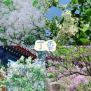 北京旅游 缩略图 8