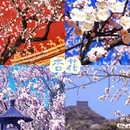 北京旅游 缩略图 10